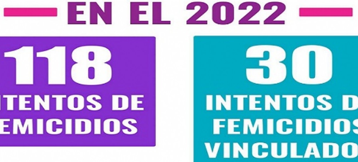La cifra de femicidios en nuestro país sigue siendo alarmante: 182 en lo que va de 2022