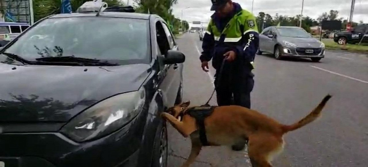 El perro lo delató: durante un control policial encontraron droga en el motor de un auto