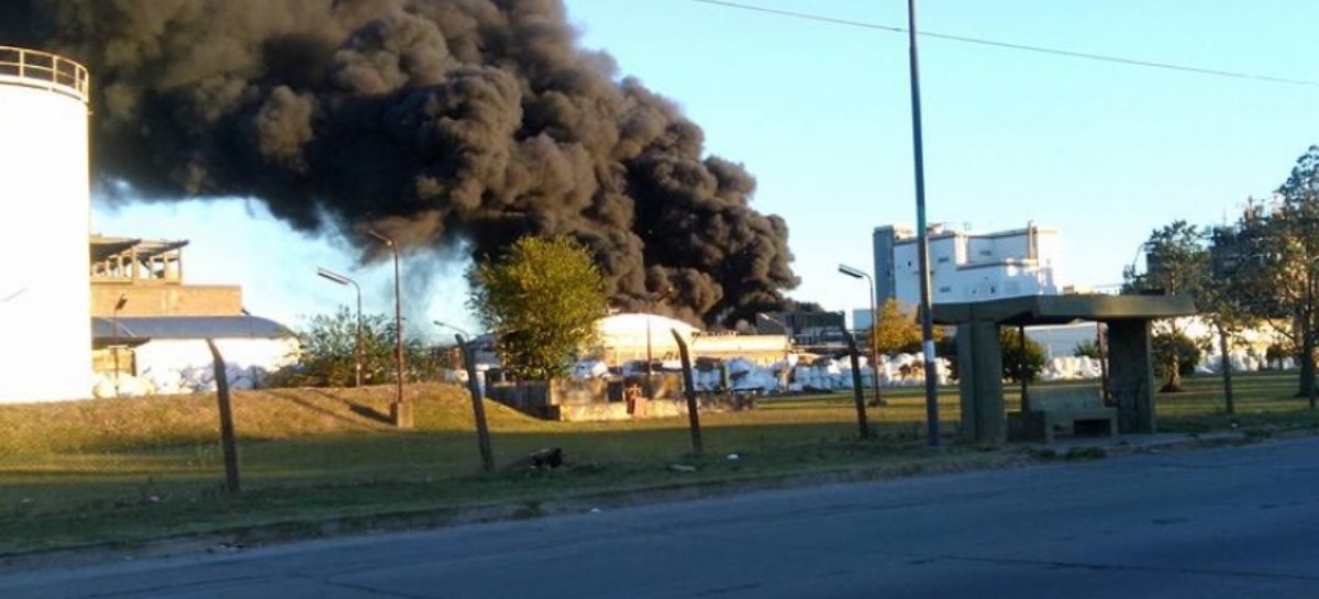Un enorme incendio en Olmos tiñó de negro el cielo de La Plata