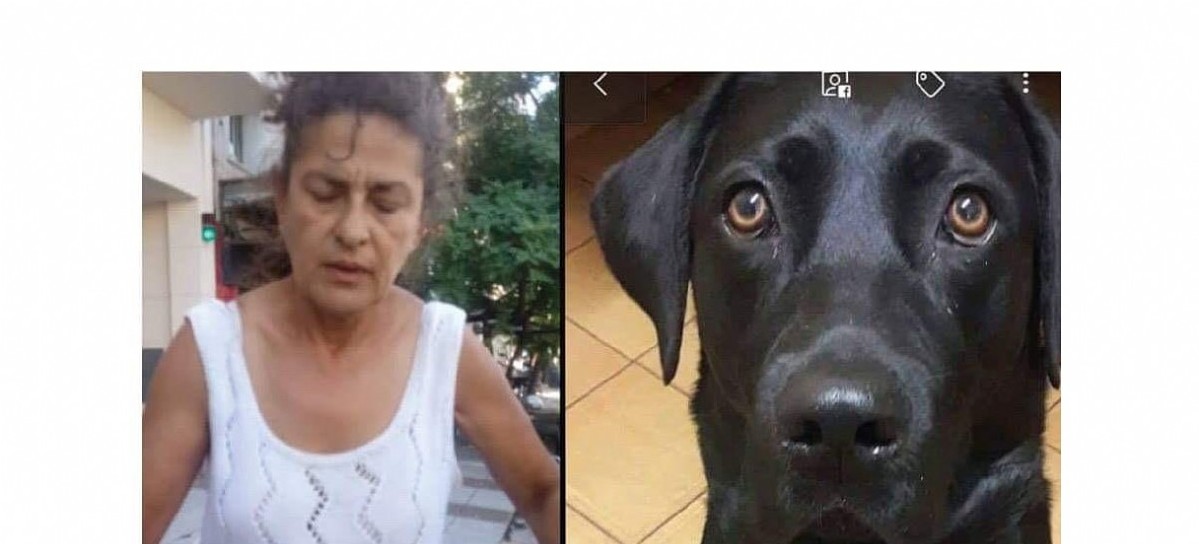 Sin palabras: Masivo repudio a una mujer que dejó morir a su perra en el baúl de un auto