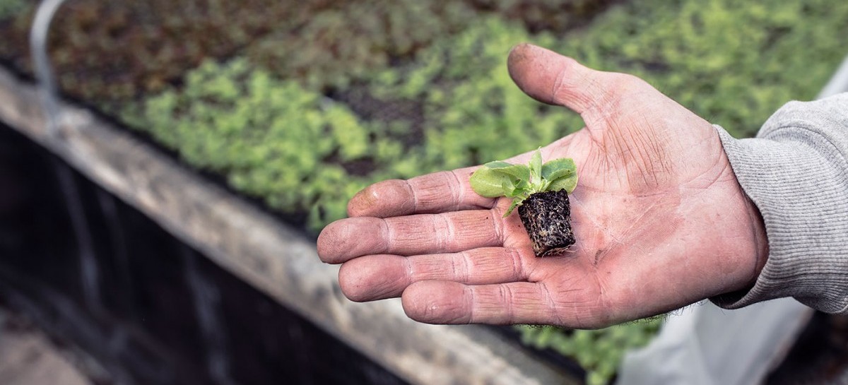 Crearon un "Banco de Insumos Agropecuarios" para el desarrollo de productores bonaerenses