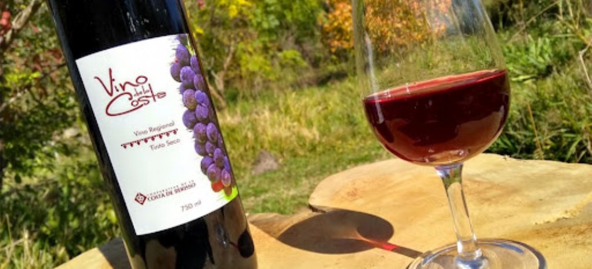 Todo suma: la Fiesta del Vino de Berisso tendrá talleres de Cannabis y de Educación Sexual Integral