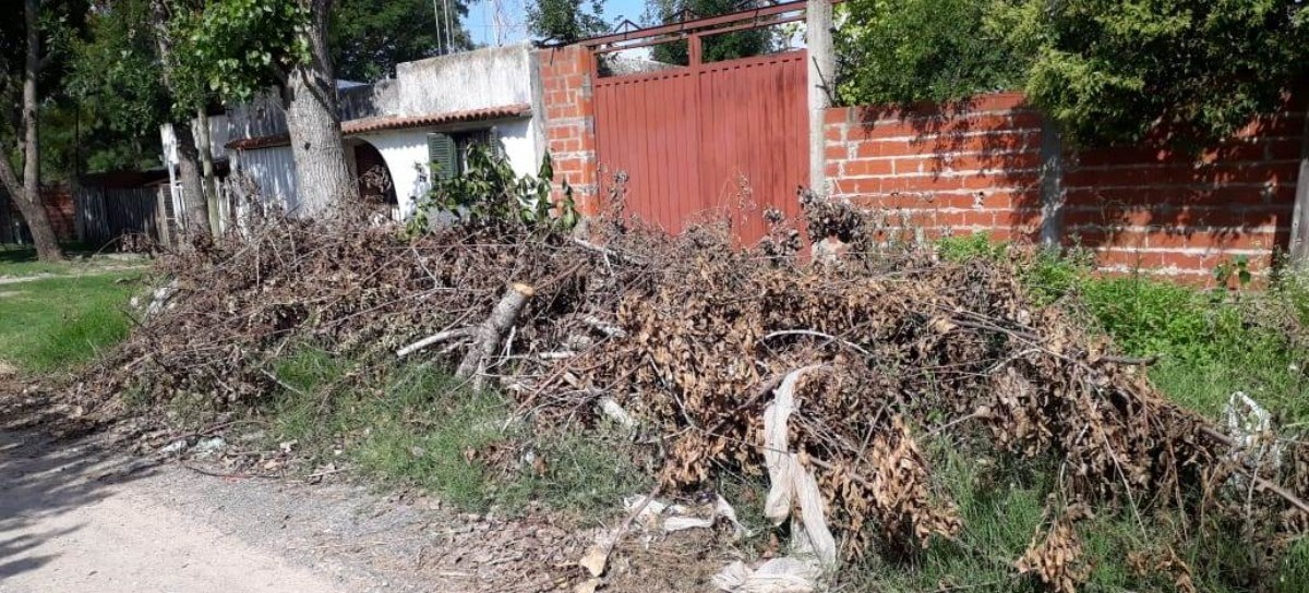 Vecinos del barrio San Carlos de La Plata, olvidados por el municipio pese a reclamos de limpieza