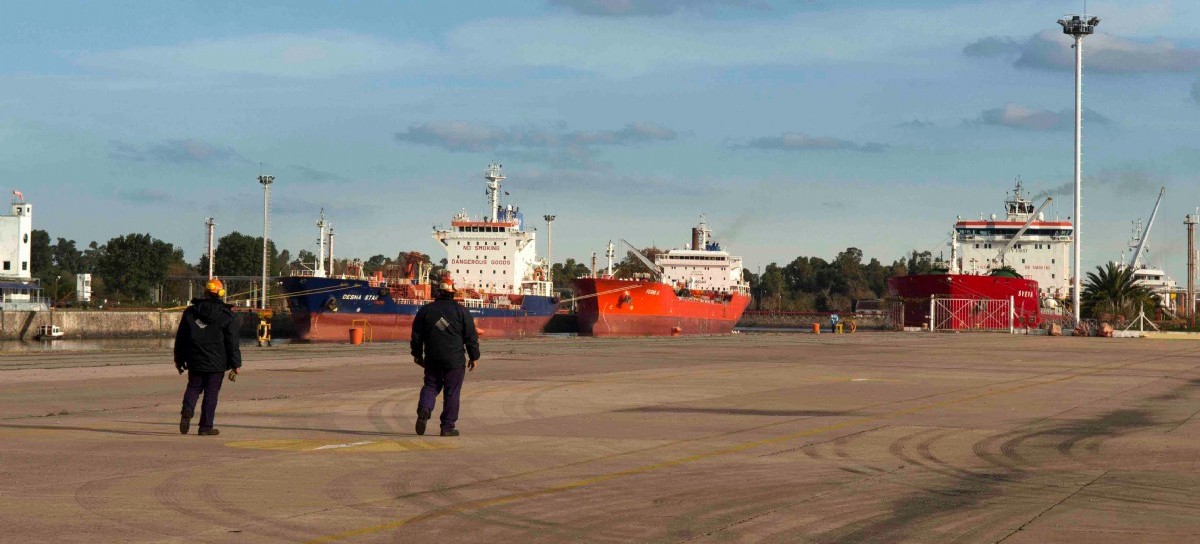 Puerto La Plata: por ser una "Pyme mediana" nombran a un auditor externo sin experiencia portuaria