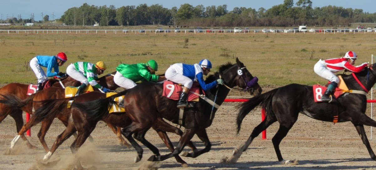 El Gobierno bonaerense aclaró que por el Coronavirus también suspendió las carreras de caballos