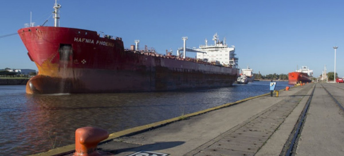 Un delfín amarillo dejó el Puerto La Plata y será reemplazado por un conocedor de neumáticos