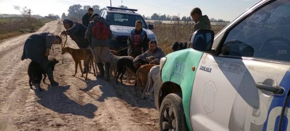 Cazadores cazados y llevados a la comisaría con sus perros galgos