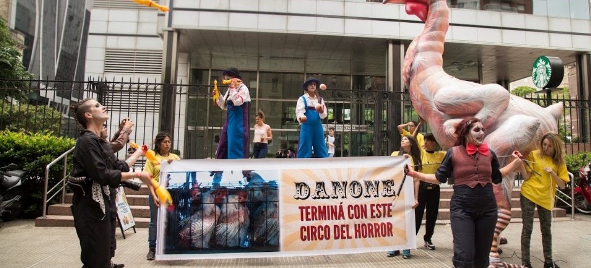 "Circo Del Horror", la realización de activistas para pedir medidas contra el maltrato animal