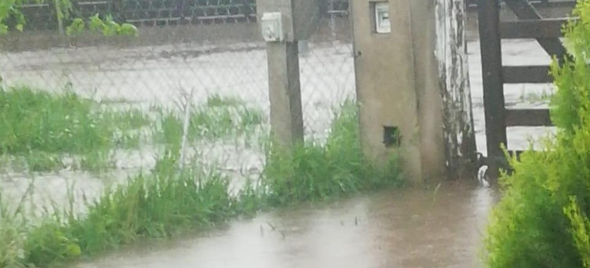 La Plata sigue inundándose: a los vecinos de la localidad de Arturo Seguí les toca padecerla