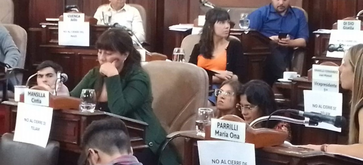 El Concejo Deliberante de La Plata, en su primera sesión ordinaria, cuestionó a la empresa ABSA