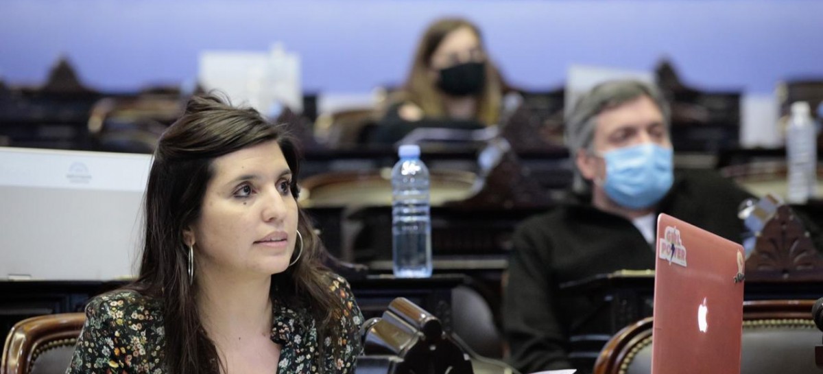 "Queremos evitar incendios intencionales con fines especulativos", dijo la diputada Daniela Vilar