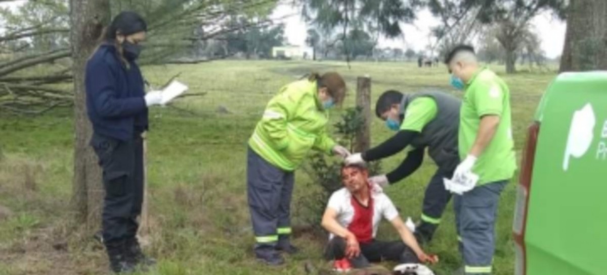 Insólito: dos policías bonaerenses quisieron robar una oveja de un campo, los golpearon y detuvieron