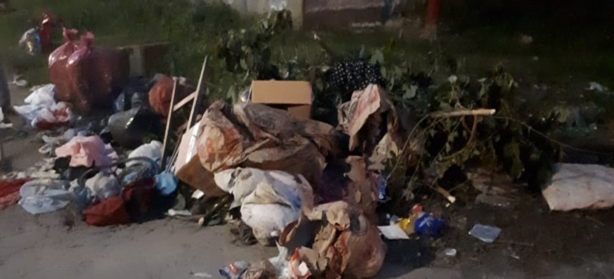 La Plata: Villa Elvira, localidad que en materia de limpieza está siendo olvidada por el municipio