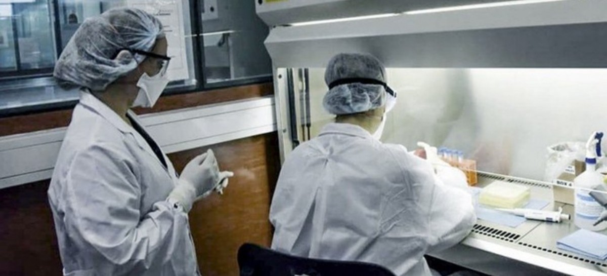 Coronavirus: el Gobierno nacional confirmó 364 muertes y 11807 nuevos contagios en las últimas 24 hs
