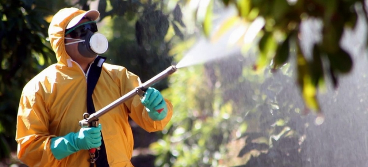 Por una resolución, no se podrá fumigar con agrotóxicos en lotes linderos a las escuelas bonaerenses