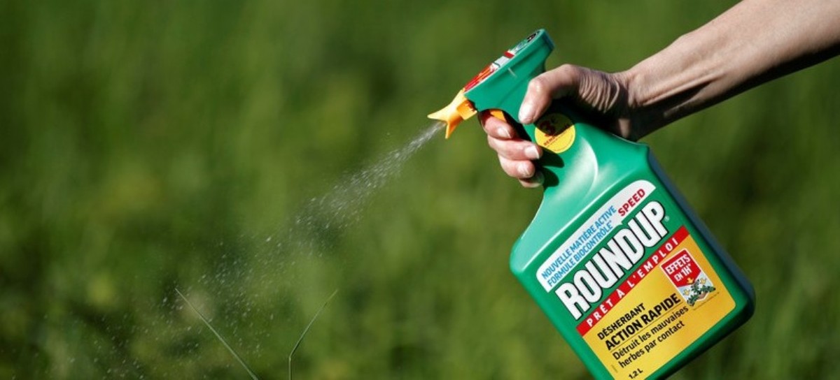 ROUNDUP, un poderoso herbicida usado por productores bonaerenses, condenado por ser cancerígeno