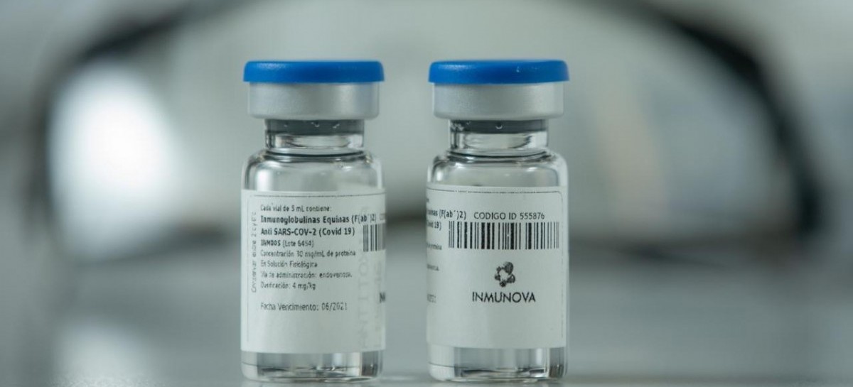 Otro logro de investigadores argentinos: desarrollan suero terapéutico que neutraliza el Coronavirus