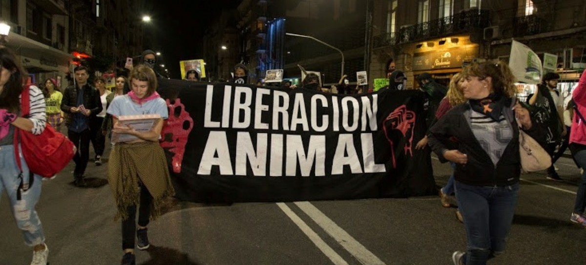 "21 Días Veganos": el desafío que proponen defensores de animales