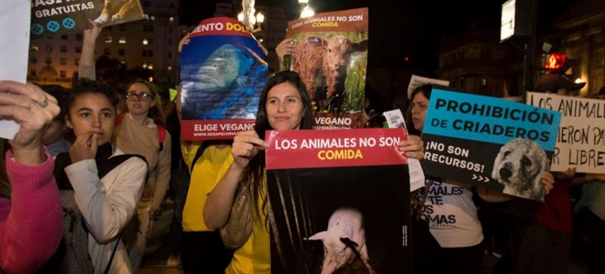 "21 Días Veganos": el desafío que proponen defensores de animales