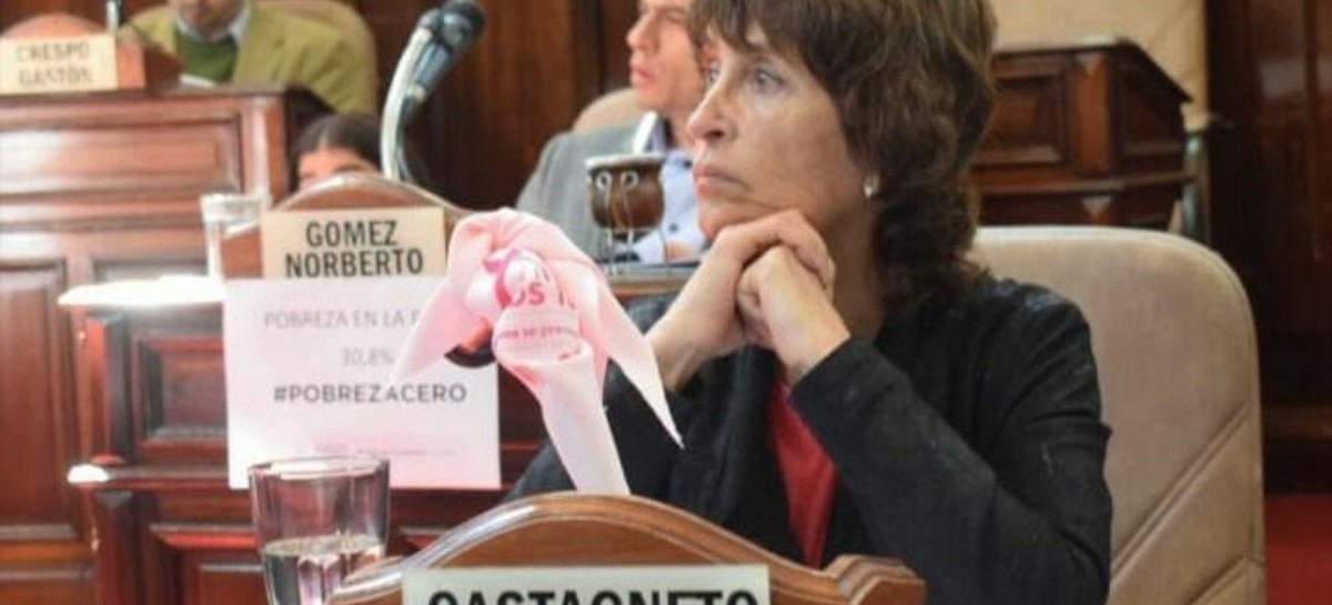 Concejo Deliberante de La Plata: buscan declarar la emergencia cultural