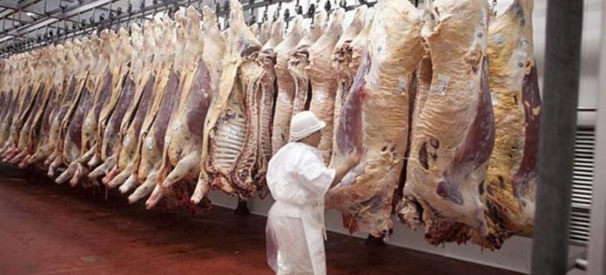 Siete cortes de carne parrilleros no podrán ser exportados por dos años