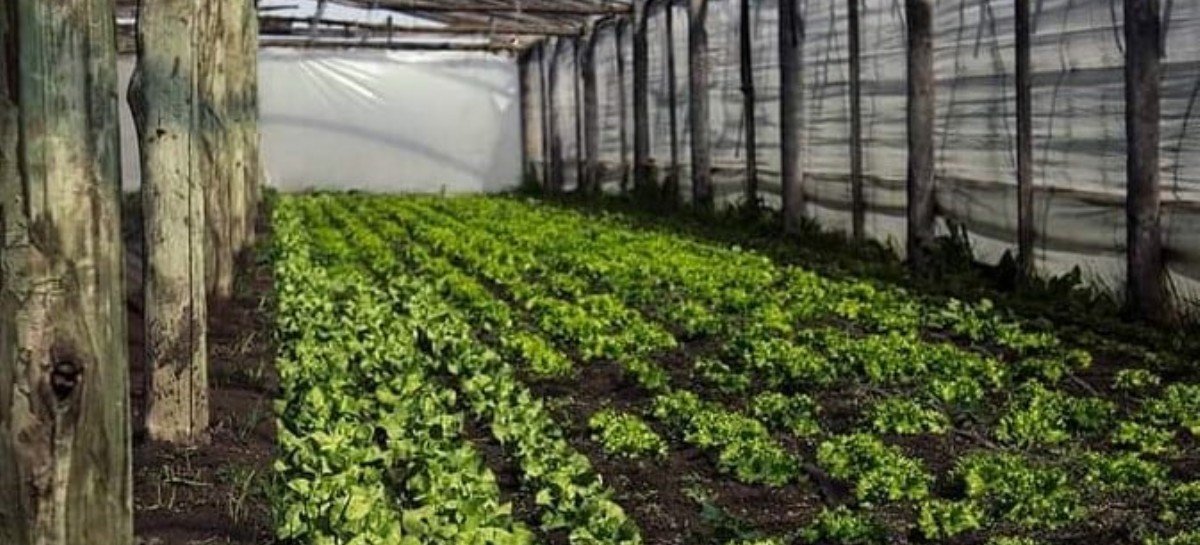 Emergencia agropecuaria: Gobierno bonaerense otorgó beneficios impositivos a productores platenses