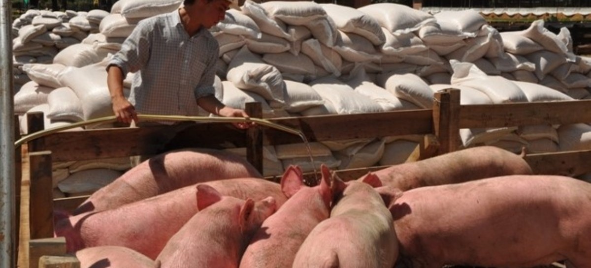 Respiran las Pymes agropecuarias bonaerenses: el Gobierno les prometió ayuda a través de un Plan