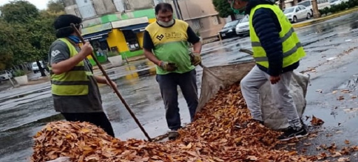 La Plata: quienes barren la hojarasca, al borde de la explotación y el olvido municipal
