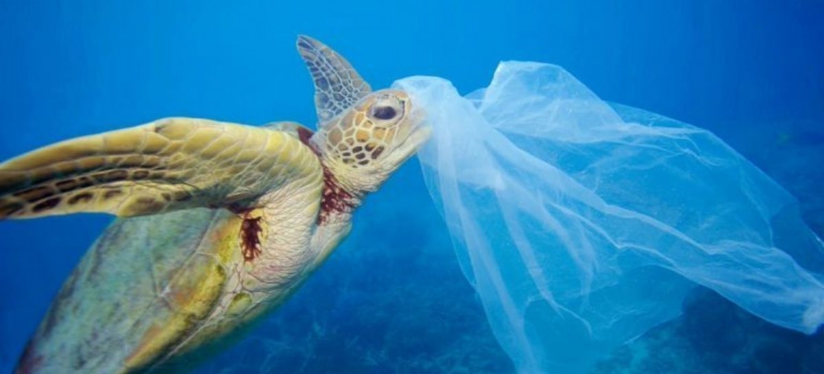 Reducir plásticos de un solo uso es fundamental para cuidar el Medio Ambiente