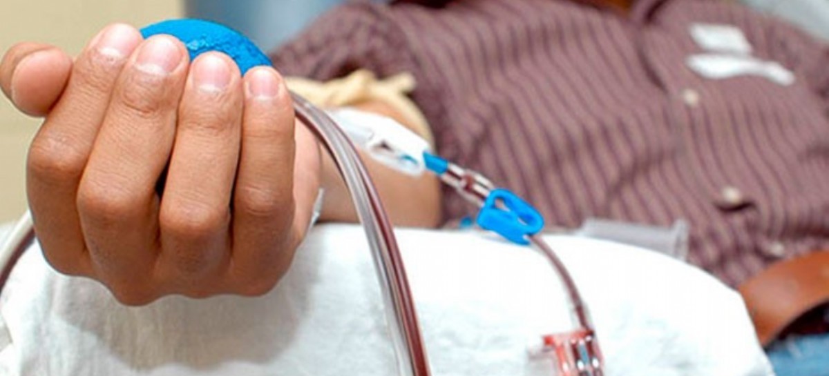 Pandemia de Coronavirus: más de 10 mil personas donaron sangre en la provincia de Buenos Aires