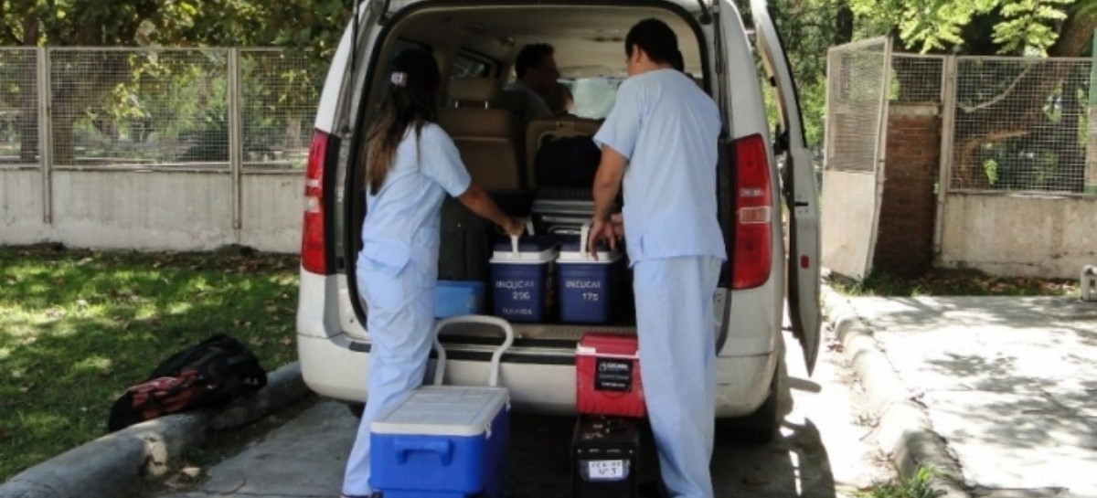 Durante el último fin de semana, se realizaron cinco trasplantes de órganos con tres donantes