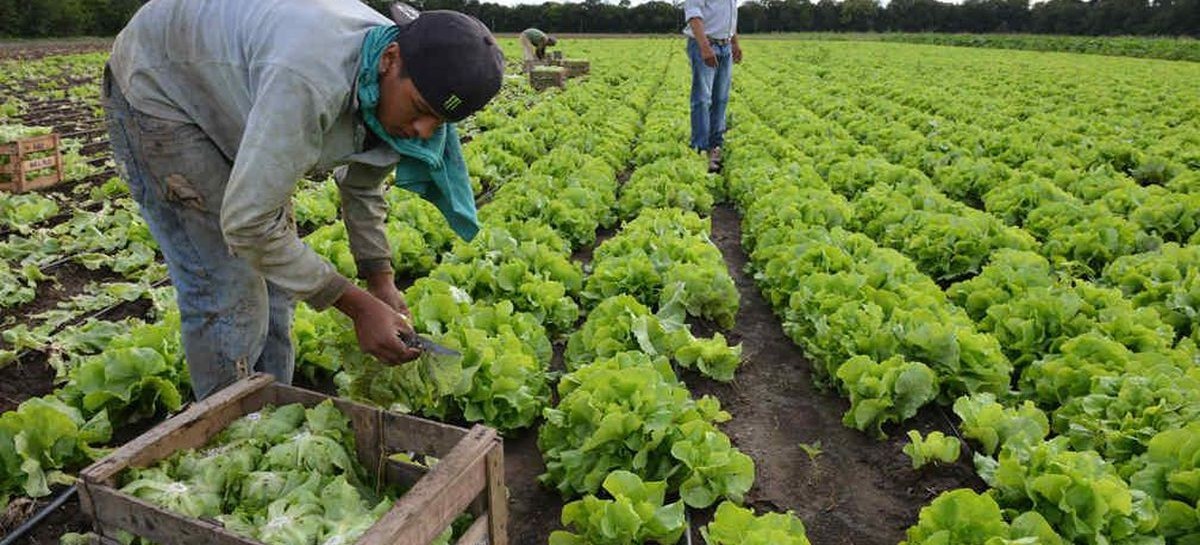 Presentaron una guía sobre el cooperativismo agropecuario en la provincia de Buenos Aires