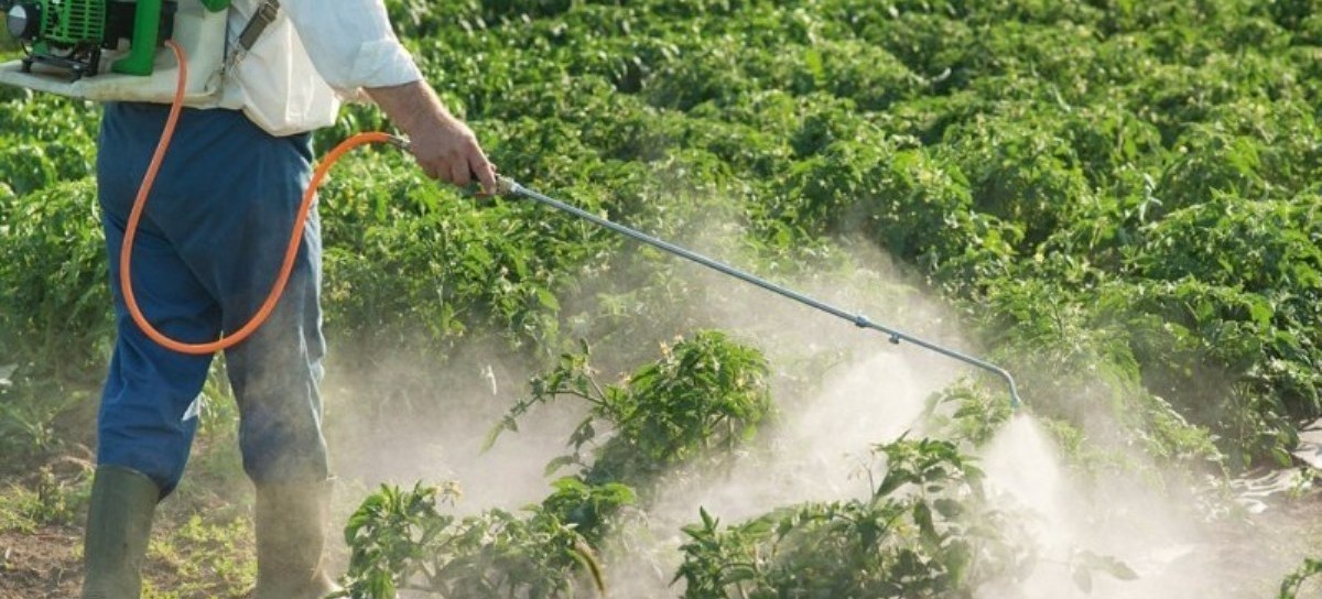 La Plata: advierten que el uso de agroquímicos no está regulado en la producción de alimentos