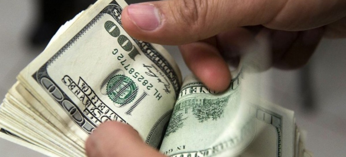 VIDEO: La estampida del dólar hace temblar la "arboleda" de la city platense