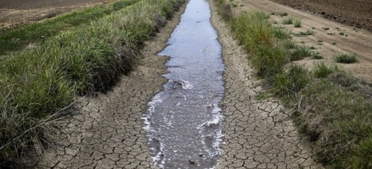 El ministerio de Economía nacional declaró la emergencia agropecuaria en 33 municipios bonaerenses