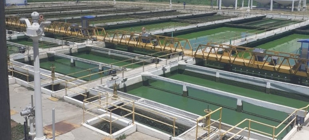 ABSA dice que el volumen de algas en el Río de la Plata "no se registró en los últimos 30 años"