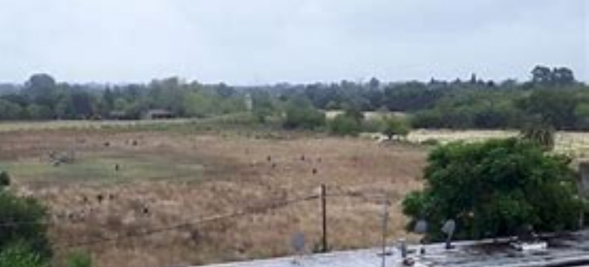 Toma de terrenos: bombas "molotov", detenidos y cruces entre la Provincia y el Municipio