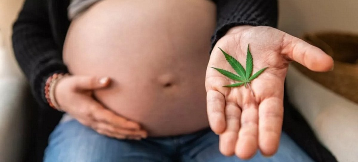 La Defensoría del Pueblo bonaerense, a favor de "Marihuana Cero" durante el embarazo y la lactancia