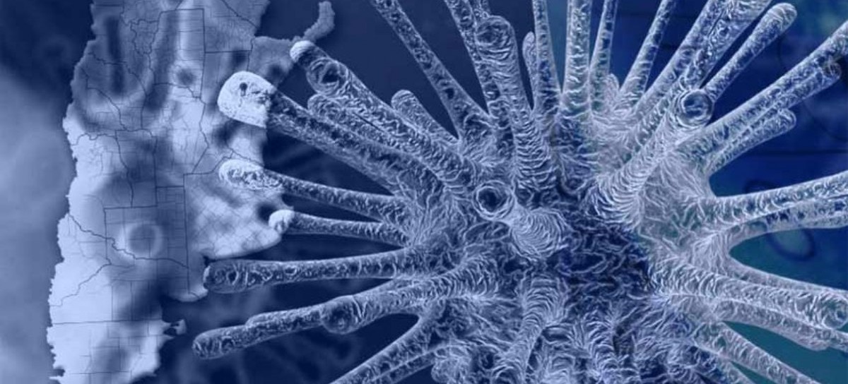 Coronavirus: el Gobierno nacional confirmó 117 muertes y 9.924 nuevos contagios en las últimas 24 hs