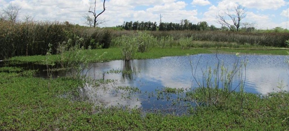 Denuncian la existencia de "negociados" en la Reserva Natural de Ciudad Evita