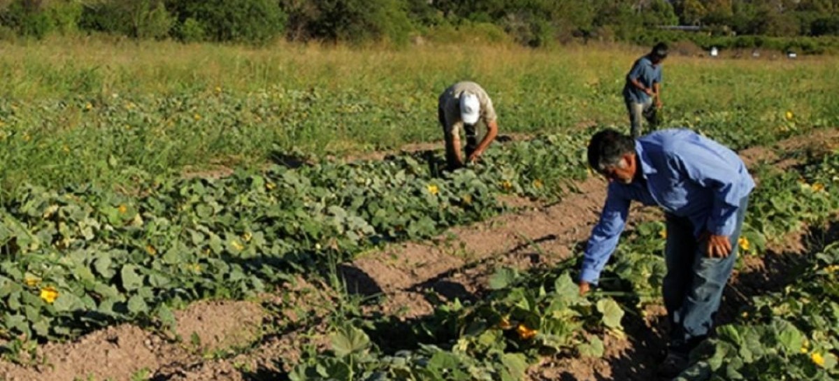 La CTA Autónoma tiene un nuevo sindicato rural, con el que peleará el espacio a la UATRE