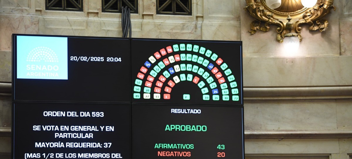 Las PASO nacionales, al menos en 2025, pasaron a ser historia: el Senado las suspendió