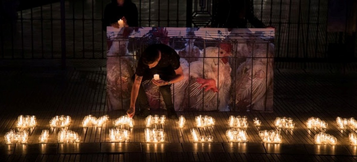 "Bonafide: Cambiá la historia de los animales",  activistas se vistieron de luto en Plaza de Mayo