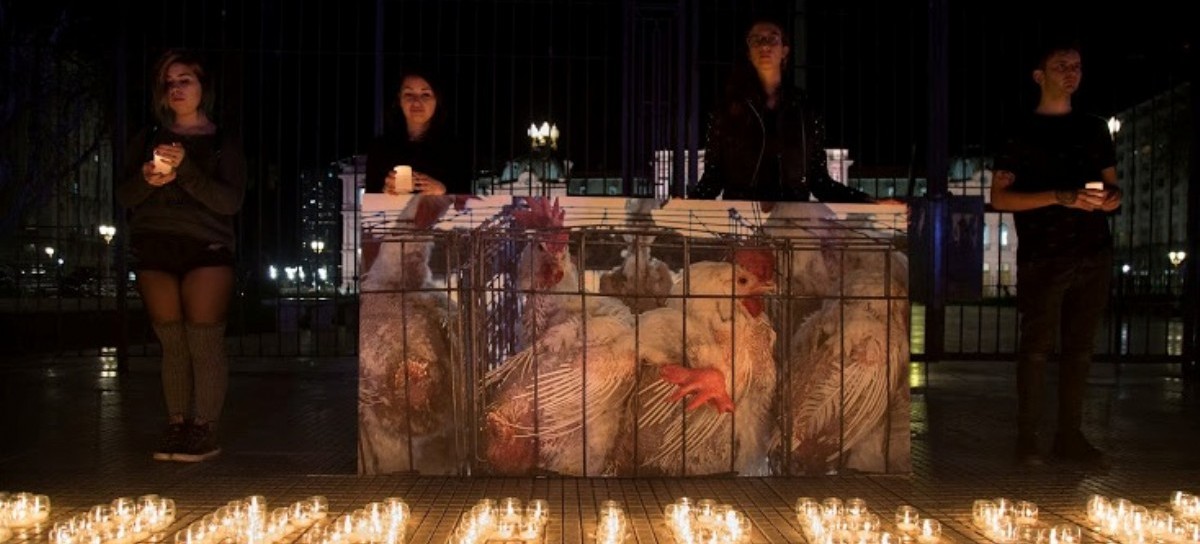 "Bonafide: Cambiá la historia de los animales",  activistas se vistieron de luto en Plaza de Mayo