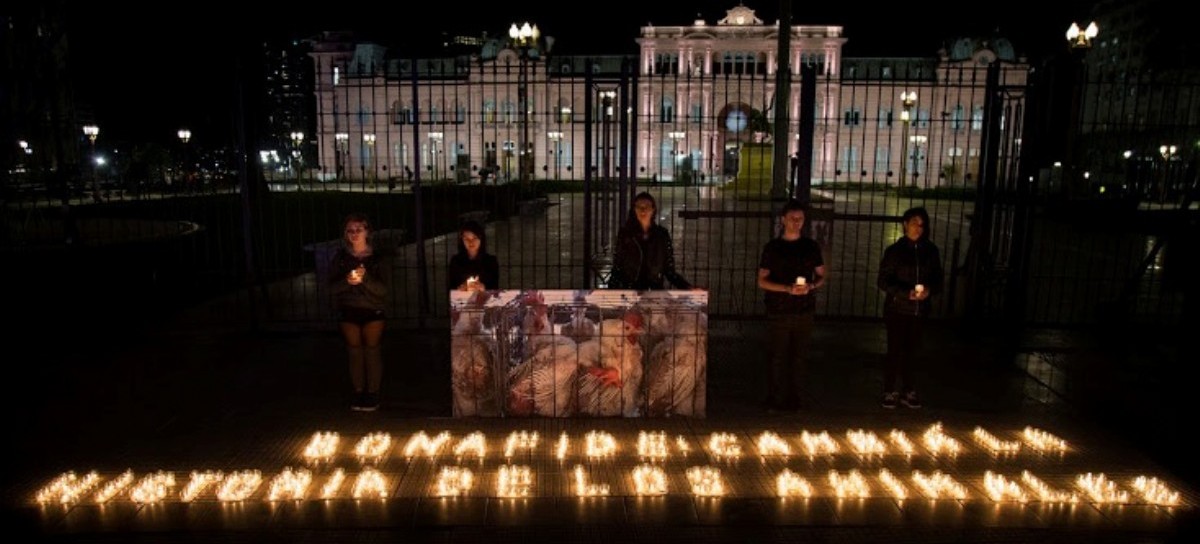 "Bonafide: Cambiá la historia de los animales",  activistas se vistieron de luto en Plaza de Mayo