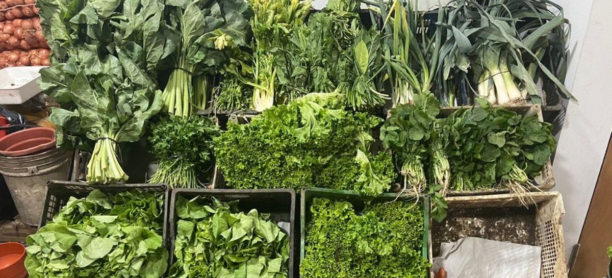 Por el último temporal, los precios de las verduras en La Plata están por las nubes