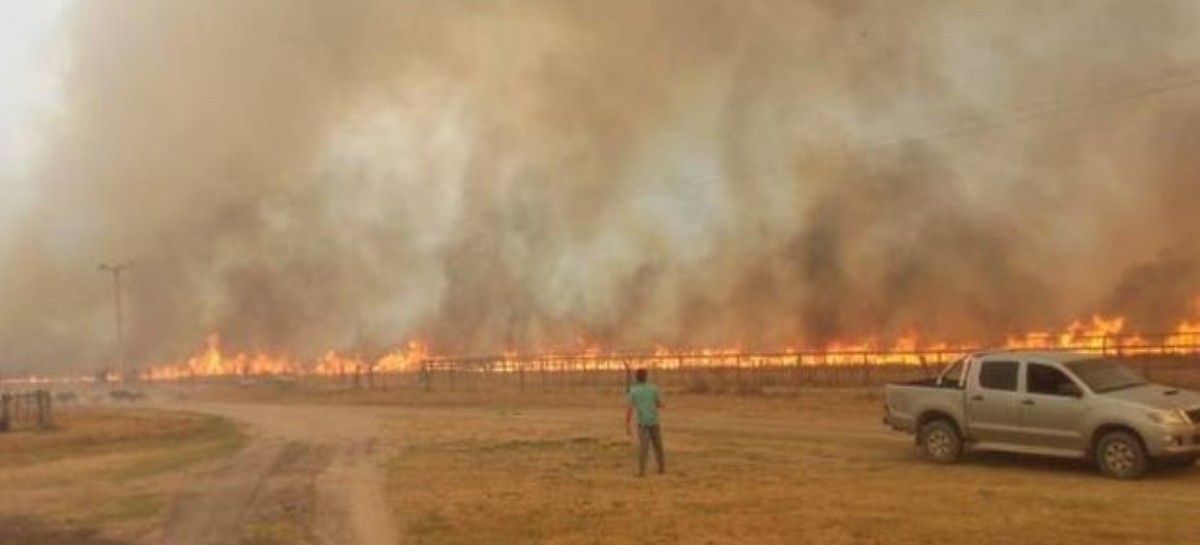 En La Plata y Berisso suman donaciones para los afectados por los incendios en Corrientes