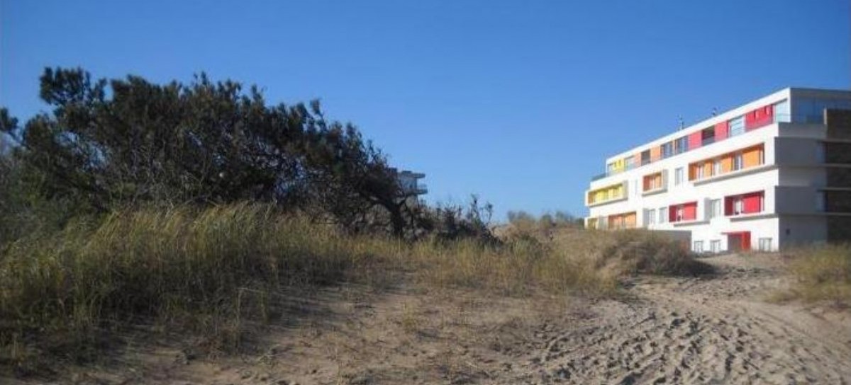 Las Dunas, en peligro: la UNLP busca preservar el arbolado urbano de la costa bonaerense