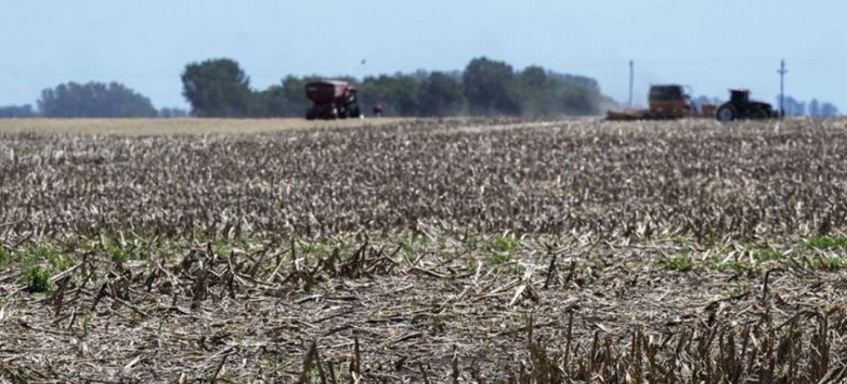 El Banco Provincia dará créditos accesibles para productores del campo afectados por la sequía