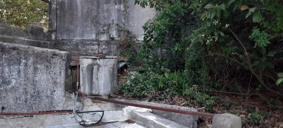 La Plata: en plena zona de dengue y pese a las denuncias vecinales, la Municipalidad no fumiga